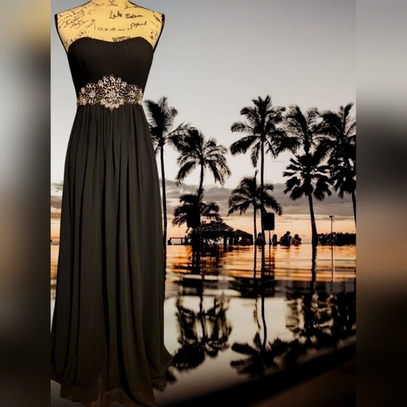 Fiesta Black Strapless Embellished Gown - Picture 1 of 10